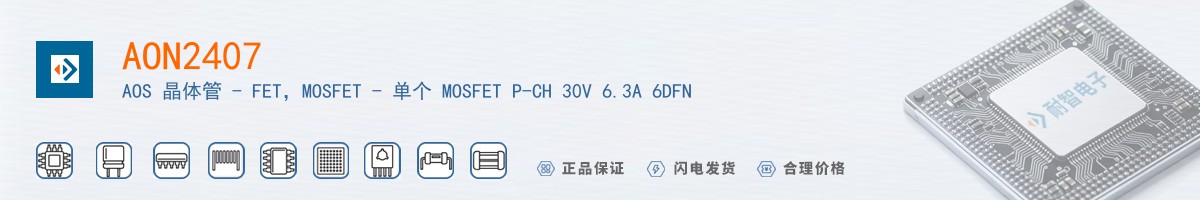 AON2407������